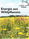 Energie aus Wildpflanzen-k