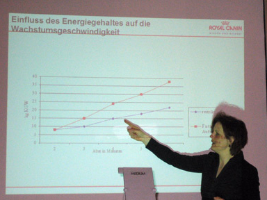 Energiegehalt-Wachstum