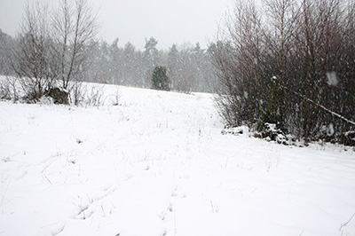 HR-Schnee