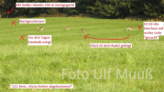 Infos-an-Schweisshundfuehrer-Muuss